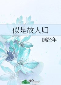 似是故人歸